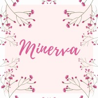 Minervaa.in logo, Minervaa.in contact details