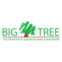 Big Tree - Customer Experience & Service Design logo, Big Tree - Customer Experience & Service Design contact details