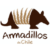 Armadillos de Chile logo, Armadillos de Chile contact details