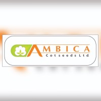 AMBICA COTSEEDS LIMITED logo, AMBICA COTSEEDS LIMITED contact details