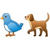 Bird Dog Ventures logo, Bird Dog Ventures contact details