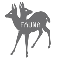 fauna casting logo, fauna casting contact details