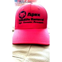 Apex Wildlife Removal logo, Apex Wildlife Removal contact details