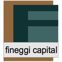 Fineggi Capital logo, Fineggi Capital contact details