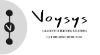 Voysys Telecommunications Solutions logo, Voysys Telecommunications Solutions contact details