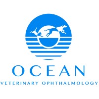 Ocean Veterinary Ophthalmology logo, Ocean Veterinary Ophthalmology contact details