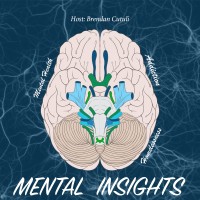 Mental Insights Podcast logo, Mental Insights Podcast contact details