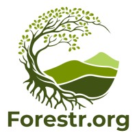 Forestr.org logo, Forestr.org contact details