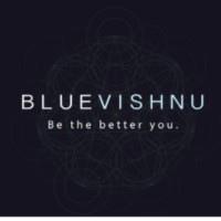 BlueVishnu logo, BlueVishnu contact details