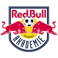 Red Bull Fußball Akademie logo, Red Bull Fußball Akademie contact details