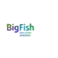 BigFish Executive Solutions logo, BigFish Executive Solutions contact details