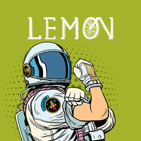 Lemon Digital Marketing logo, Lemon Digital Marketing contact details