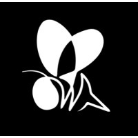 Black Bee logo, Black Bee contact details