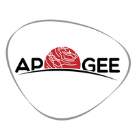 Apogee Consultoria logo, Apogee Consultoria contact details