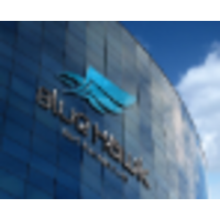 Blue Hawk - B&IT Management logo, Blue Hawk - B&IT Management contact details