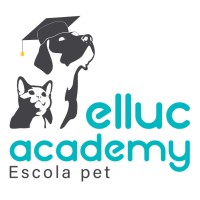 Elluc Academy logo, Elluc Academy contact details