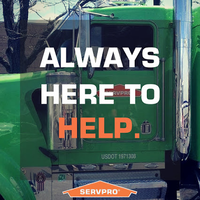 SERVPRO of North Anchorage logo, SERVPRO of North Anchorage contact details