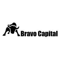 BRAVO CAPITAL logo, BRAVO CAPITAL contact details