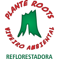 Viveiro Ambiental logo, Viveiro Ambiental contact details