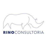 Rino Consultoria logo, Rino Consultoria contact details