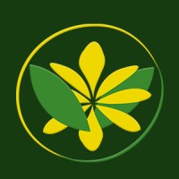 Brasil Flor logo, Brasil Flor contact details