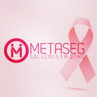 METASEG SOLUÇÕES EM QSMS logo, METASEG SOLUÇÕES EM QSMS contact details