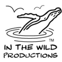 In the Wild Productions logo, In the Wild Productions contact details