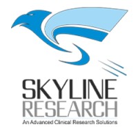 Skyline Research logo, Skyline Research contact details