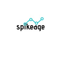 SPIKEAGE IT Company logo, SPIKEAGE IT Company contact details