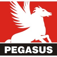 Pegasus Farmaco India Pvt Ltd logo, Pegasus Farmaco India Pvt Ltd contact details