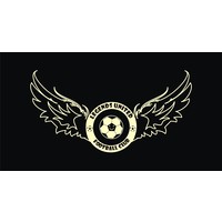 Legends United Football Academy logo, Legends United Football Academy contact details