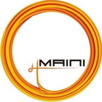 Maini Precision Products Limited logo, Maini Precision Products Limited contact details