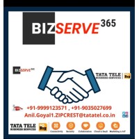 Bizserve365 logo, Bizserve365 contact details