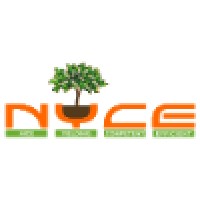 NYCE Securities & Derivatives Ltd logo, NYCE Securities & Derivatives Ltd contact details