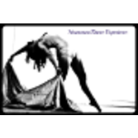 Noumenon Dance Experience logo, Noumenon Dance Experience contact details