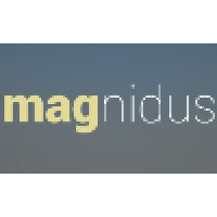 magnidus design pvt. ltd. logo, magnidus design pvt. ltd. contact details