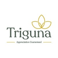 Triguna Projects Pvt Ltd logo, Triguna Projects Pvt Ltd contact details