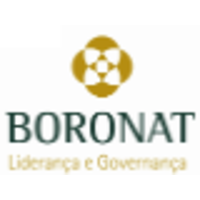 Boronat Liderança e Governança logo, Boronat Liderança e Governança contact details