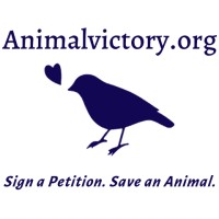 Animal Victory logo, Animal Victory contact details