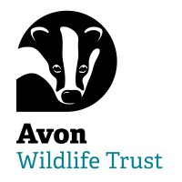 Avon Wildlife Trust logo, Avon Wildlife Trust contact details