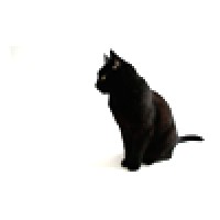 BlackCatSEO Inc. logo, BlackCatSEO Inc. contact details