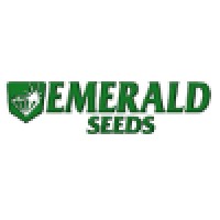 Emerald Seed Company logo, Emerald Seed Company contact details