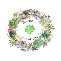 Canadian Succulents logo, Canadian Succulents contact details