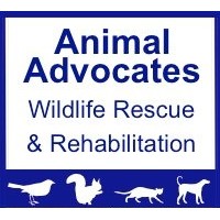 Animal Advocates logo, Animal Advocates contact details