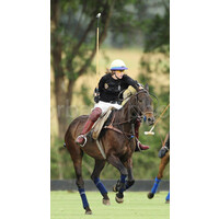 Sydney Polo Club logo, Sydney Polo Club contact details