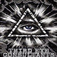 Third Eye Consultant Inc logo, Third Eye Consultant Inc contact details