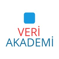 Veri Akademi logo, Veri Akademi contact details