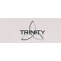 Triniti Executive Search logo, Triniti Executive Search contact details