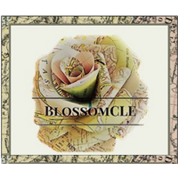 BlossomCLE Consulting Group logo, BlossomCLE Consulting Group contact details