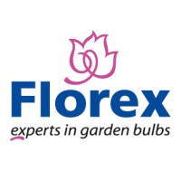 Florex logo, Florex contact details